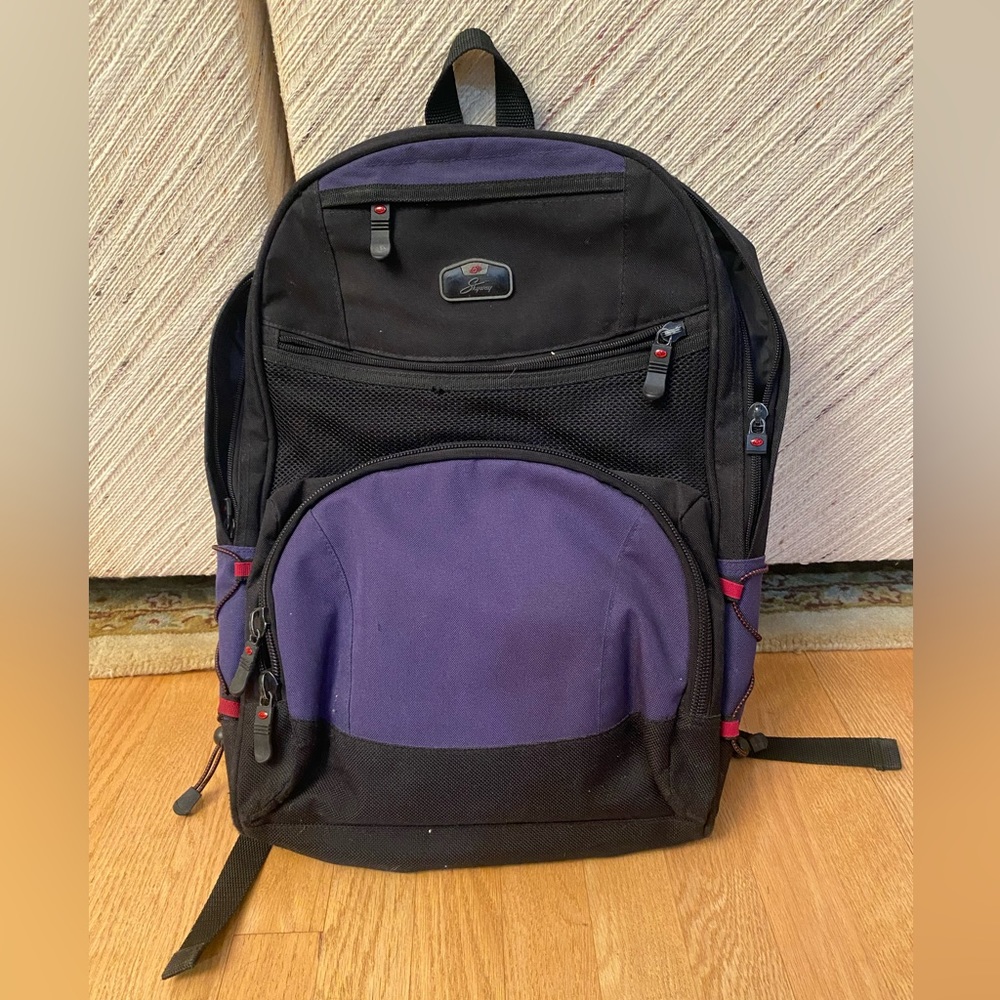 Skyway Backpack